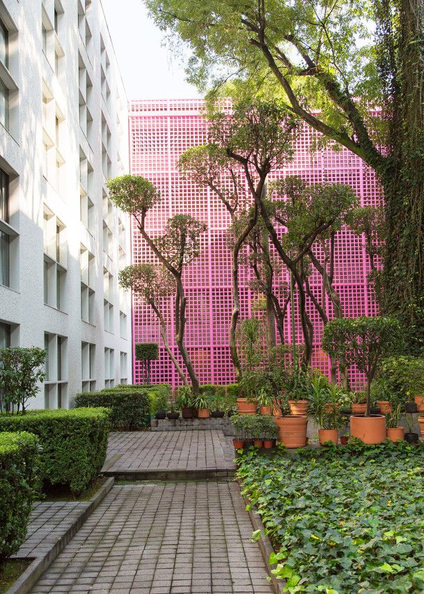 The garden at Camino Real Polanco.