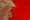Trump als Reformator